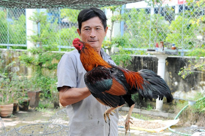 Chiến kê của anh Cọp (Bồ gà 67)